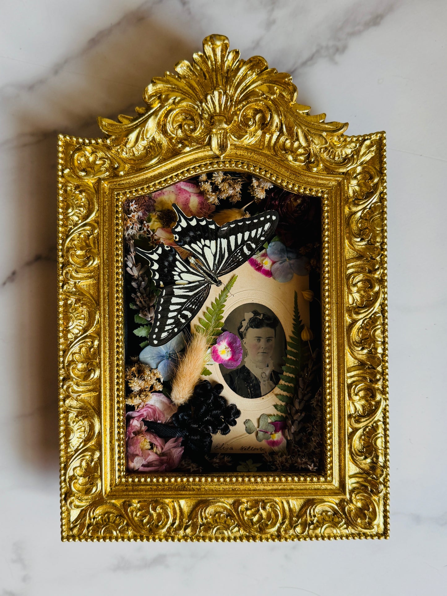 Virethys - Real Butterfly Art; Real Victorian Inspired Hairwork; Real Antique Tintype