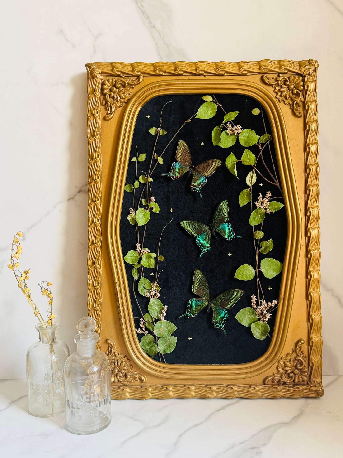 Evermore - Antique Bubble/Convex Glass; Real Butterfly Art
