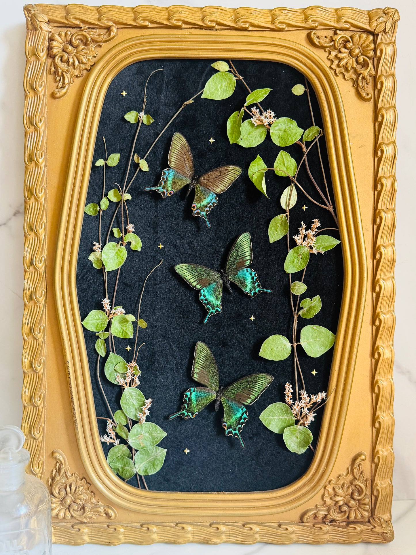 Evermore - Antique Bubble/Convex Glass; Real Butterfly Art