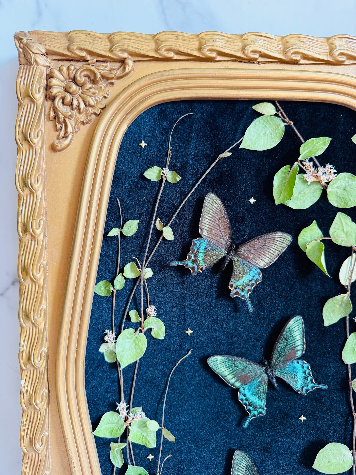 Evermore - Antique Bubble/Convex Glass; Real Butterfly Art