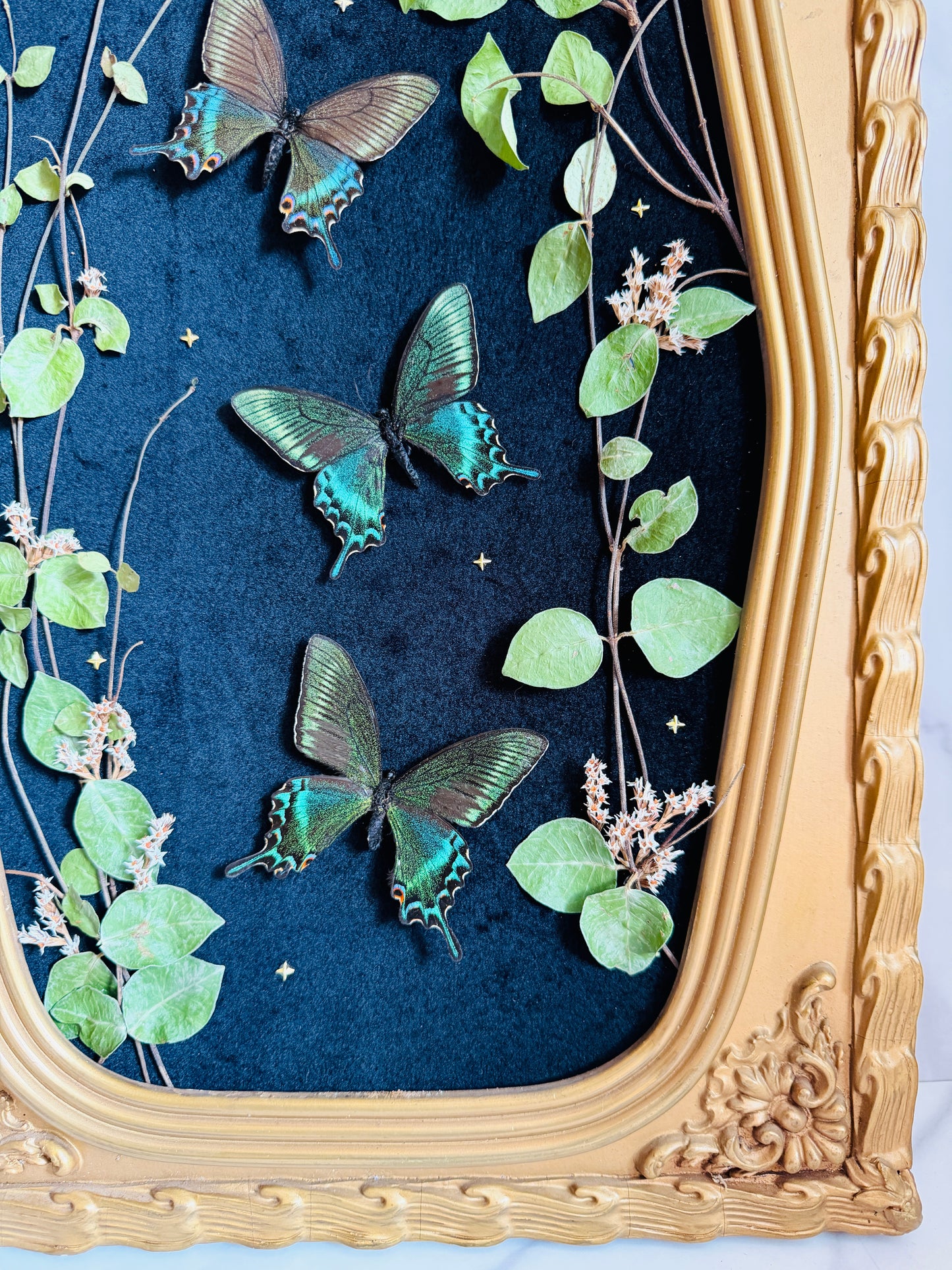 Evermore - Antique Bubble/Convex Glass; Real Butterfly Art