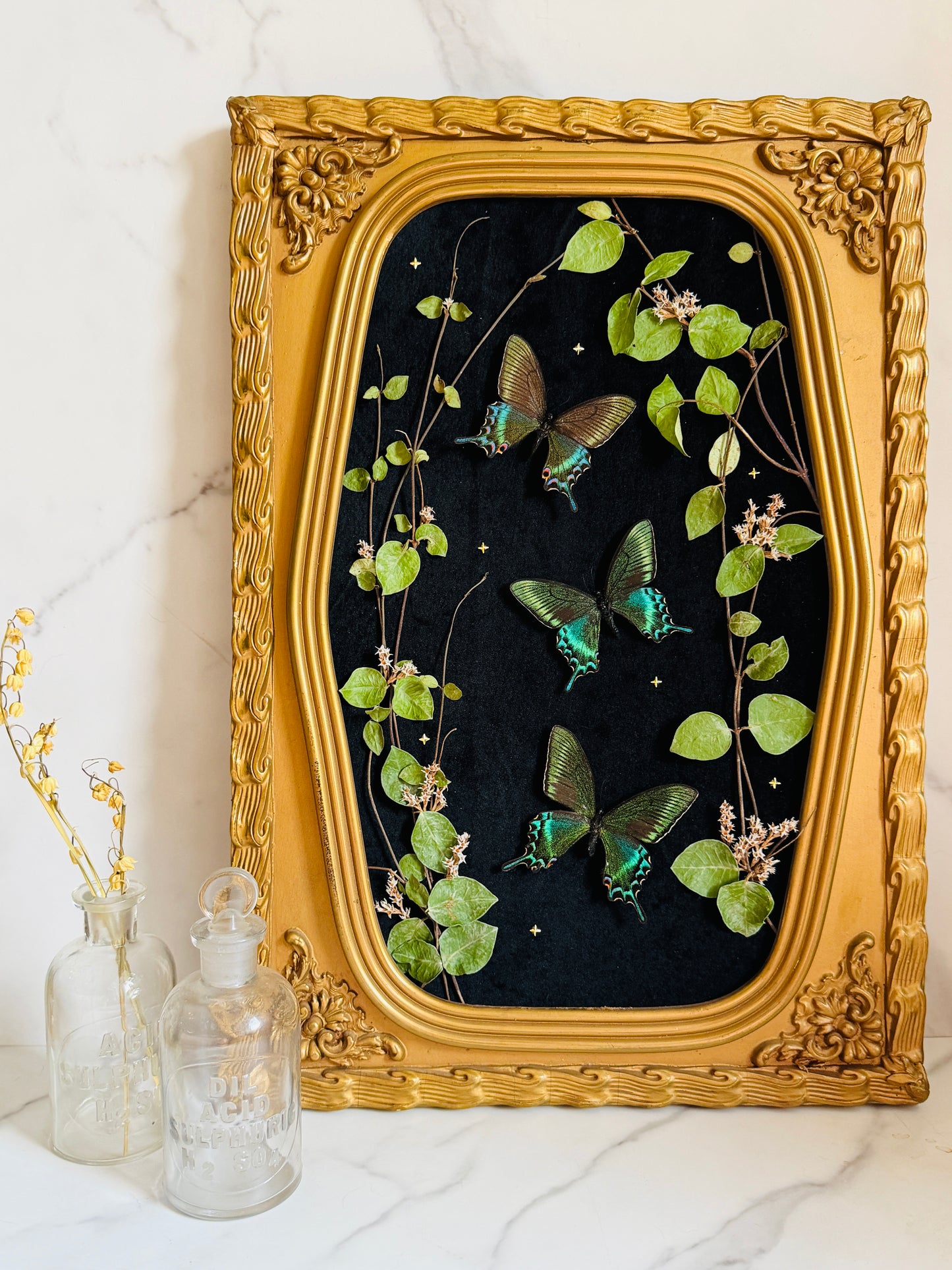 Evermore - Antique Bubble/Convex Glass; Real Butterfly Art