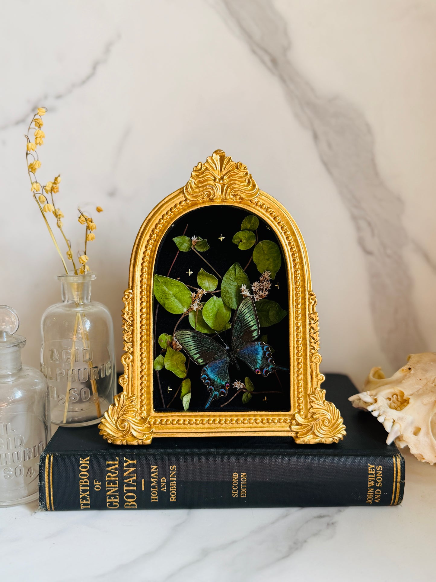 Forevermore - Real Butterfly Art