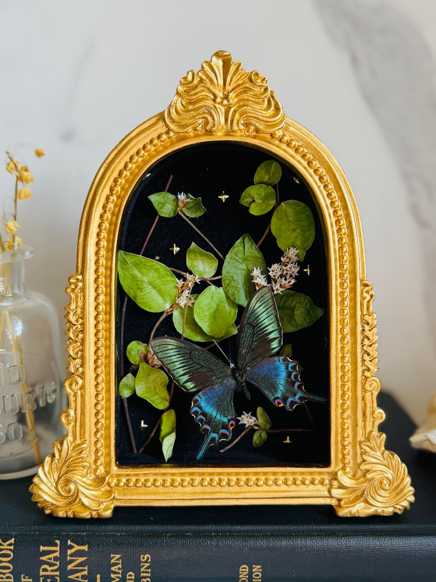 Forevermore - Real Butterfly Art