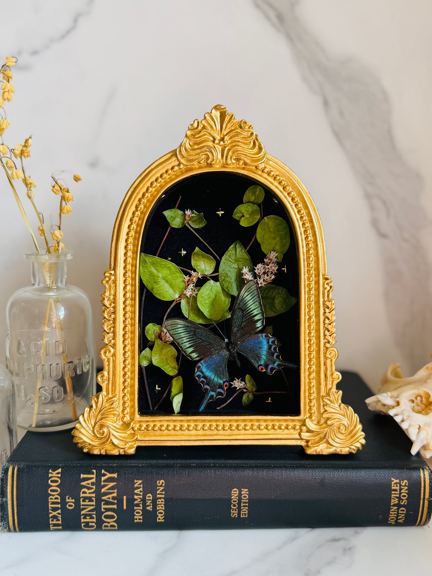 Forevermore - Real Butterfly Art