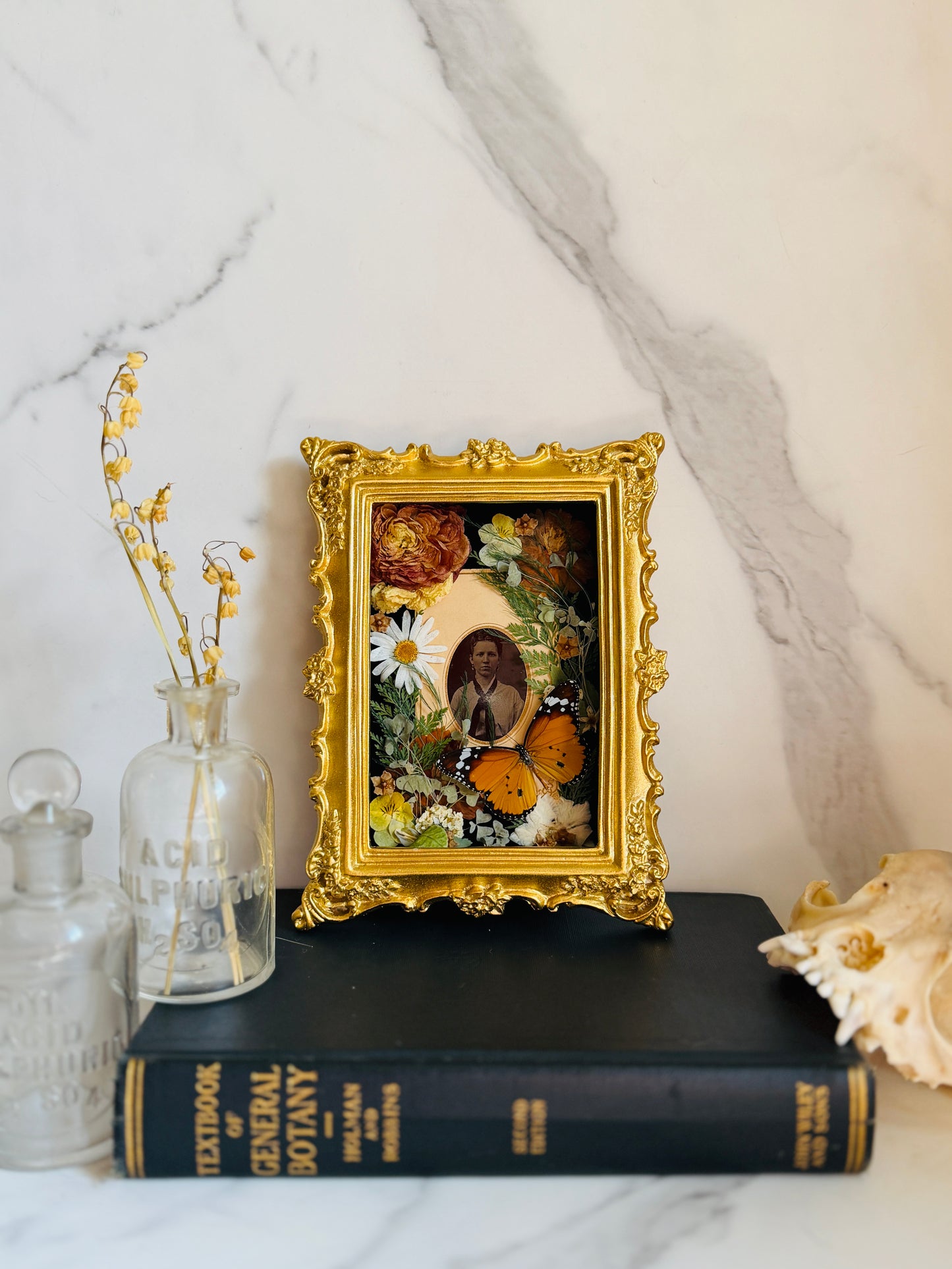 Memento - Real Antique Tintype; Real Butterfly Art