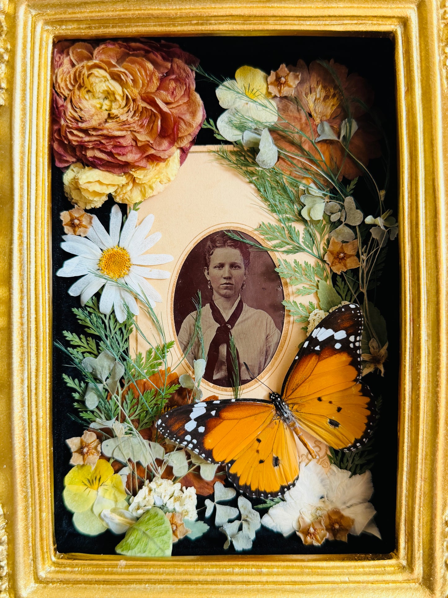 Memento - Real Antique Tintype; Real Butterfly Art