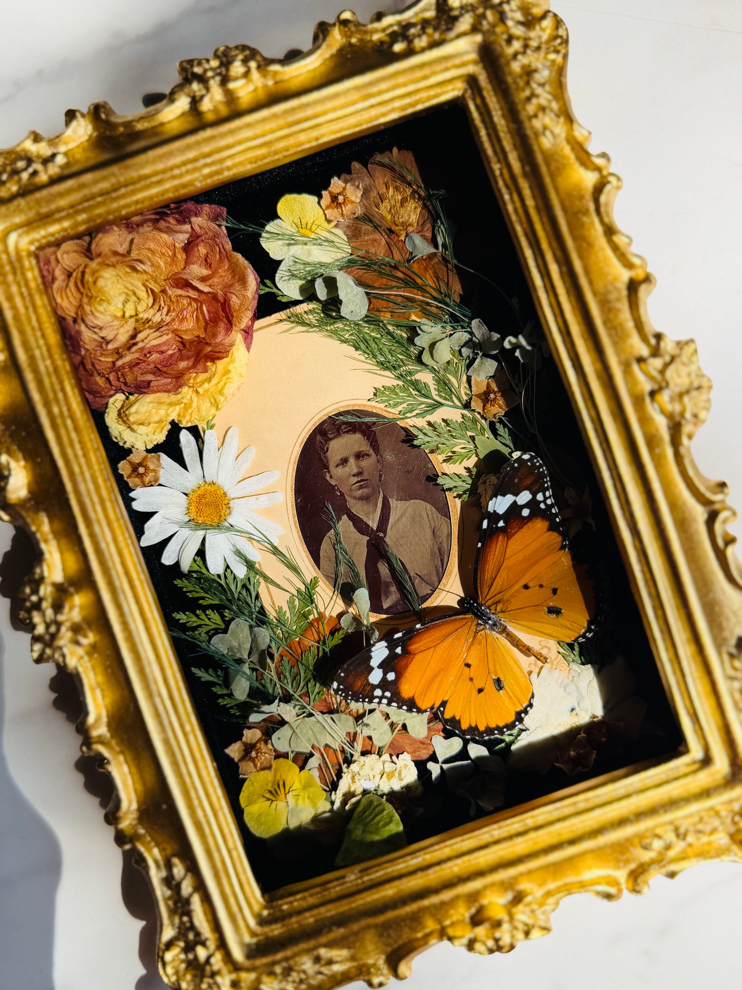 Memento - Real Antique Tintype; Real Butterfly Art