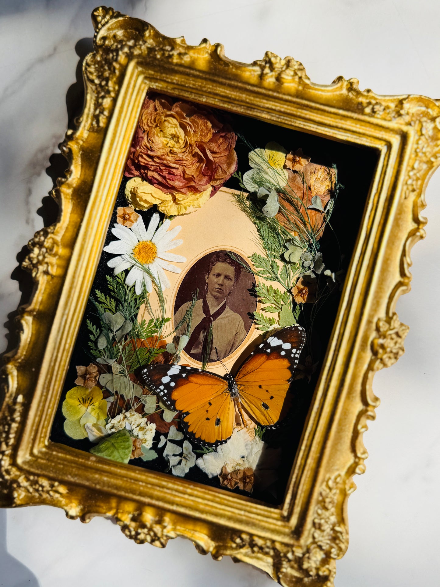Memento - Real Antique Tintype; Real Butterfly Art