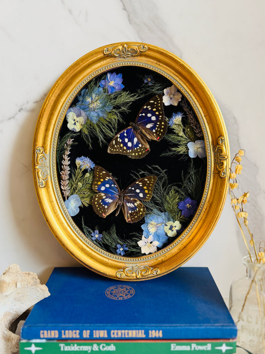 Amethyst - Real Butterfly Art; Real Dried Botanicals