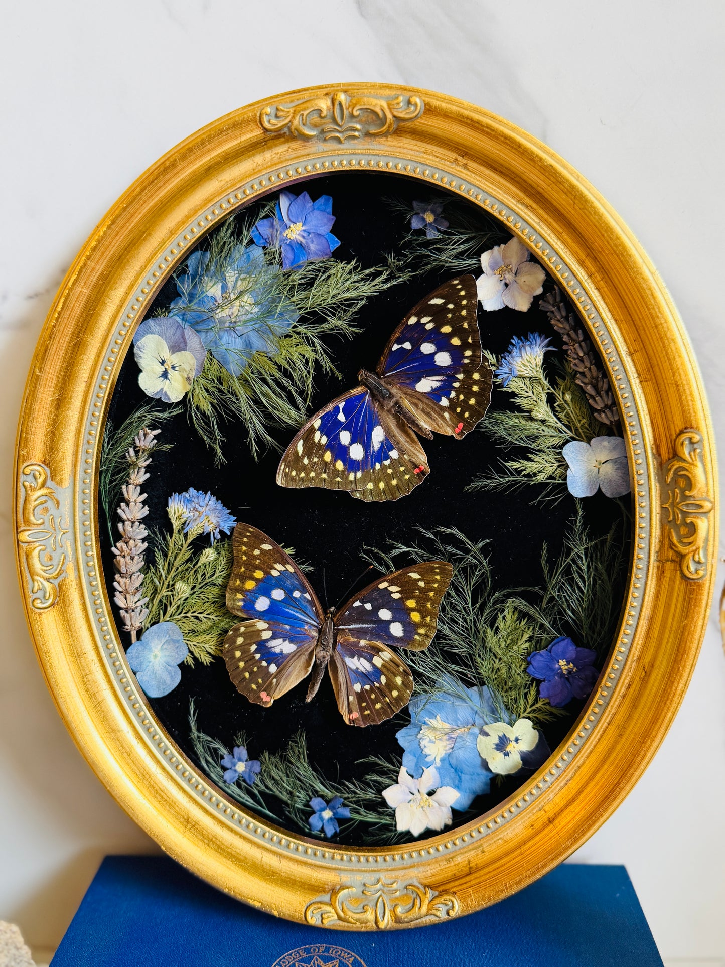 Amethyst - Real Butterfly Art; Real Dried Botanicals