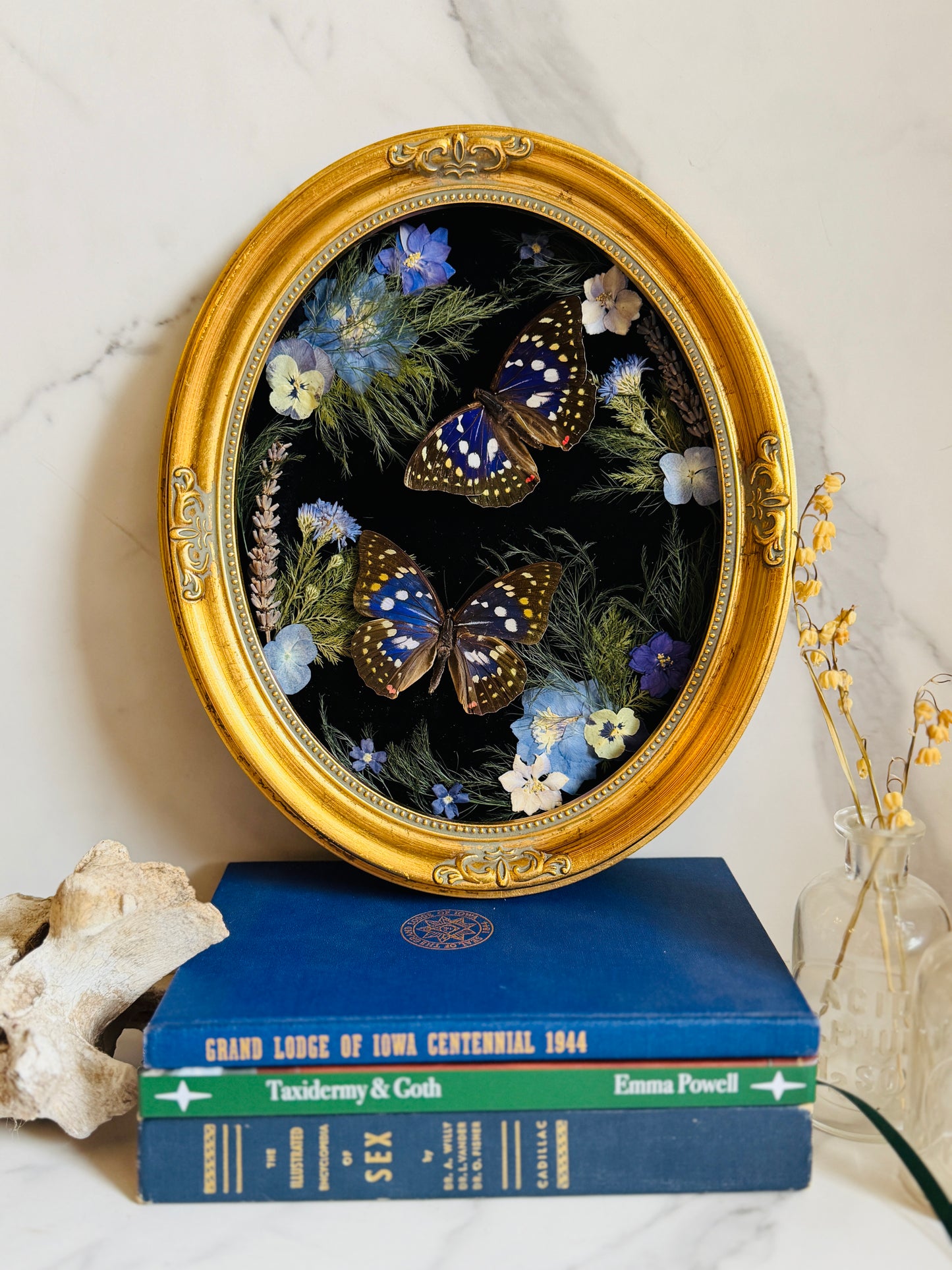 Amethyst - Real Butterfly Art; Real Dried Botanicals