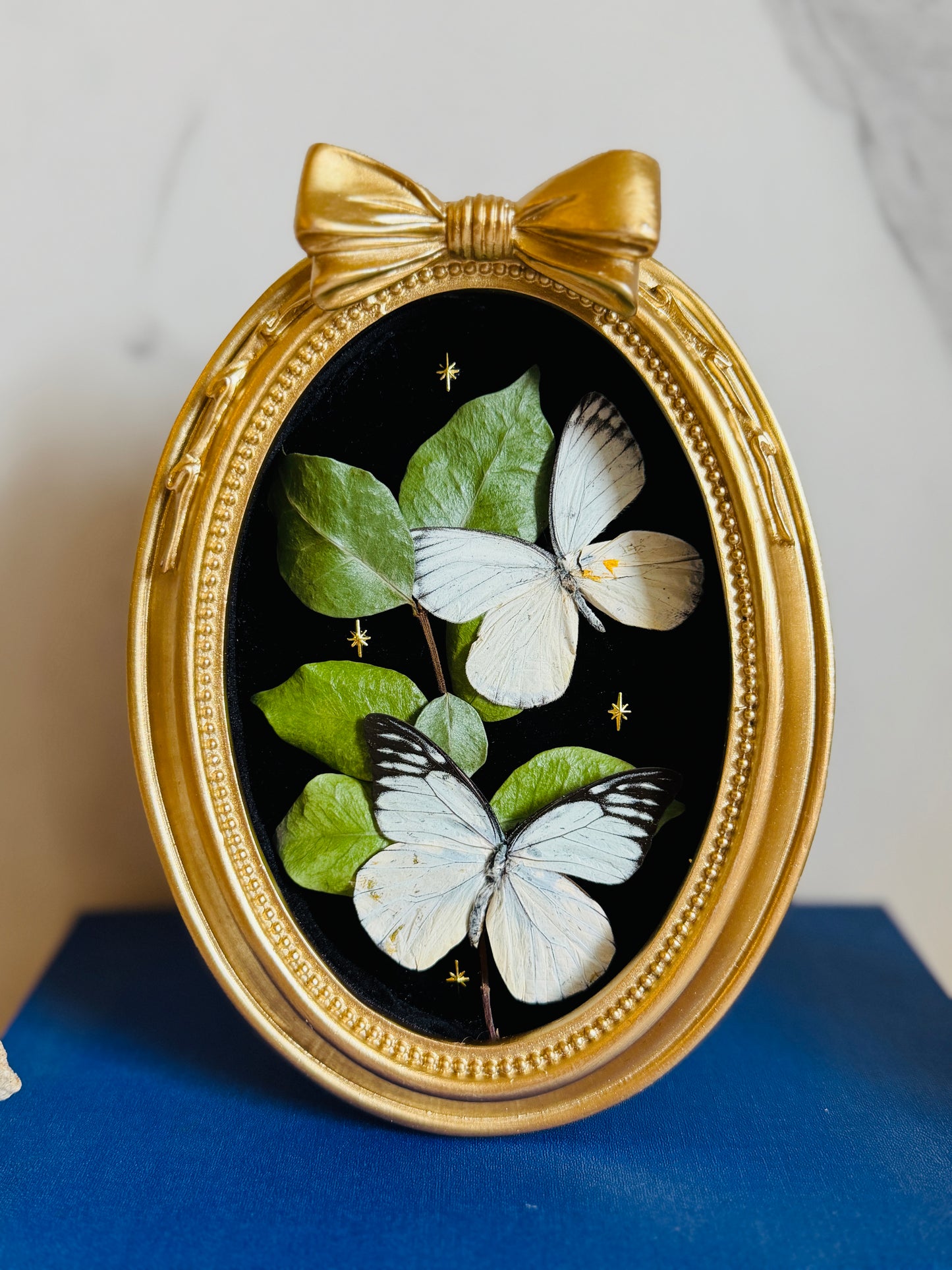 Bellefleur - Real Butterfly Art; Real Dried Jasmine Vine