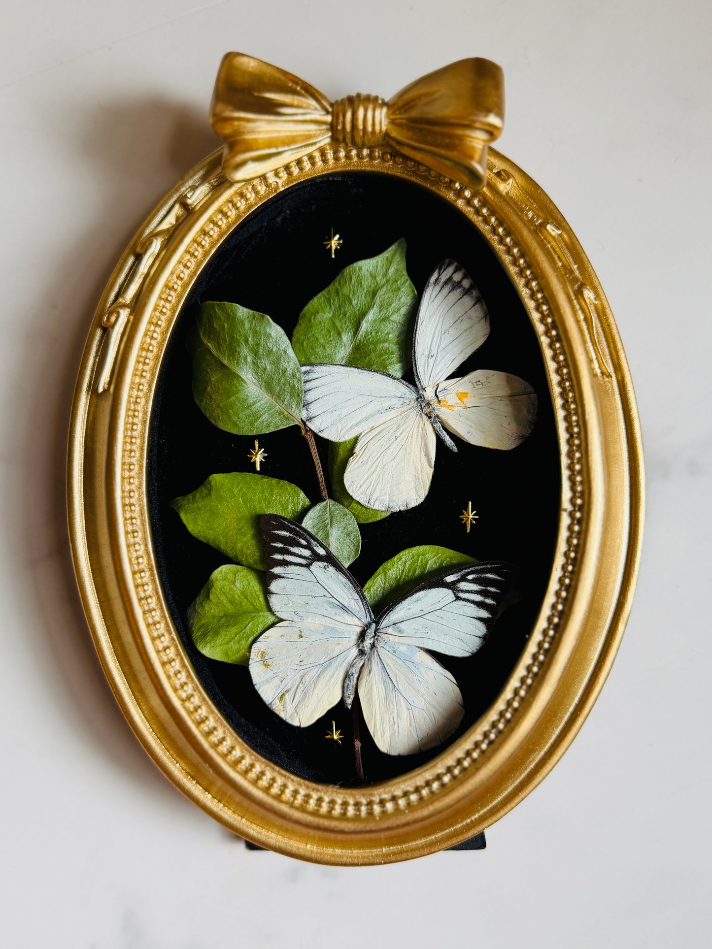 Bellefleur - Real Butterfly Art; Real Dried Jasmine Vine