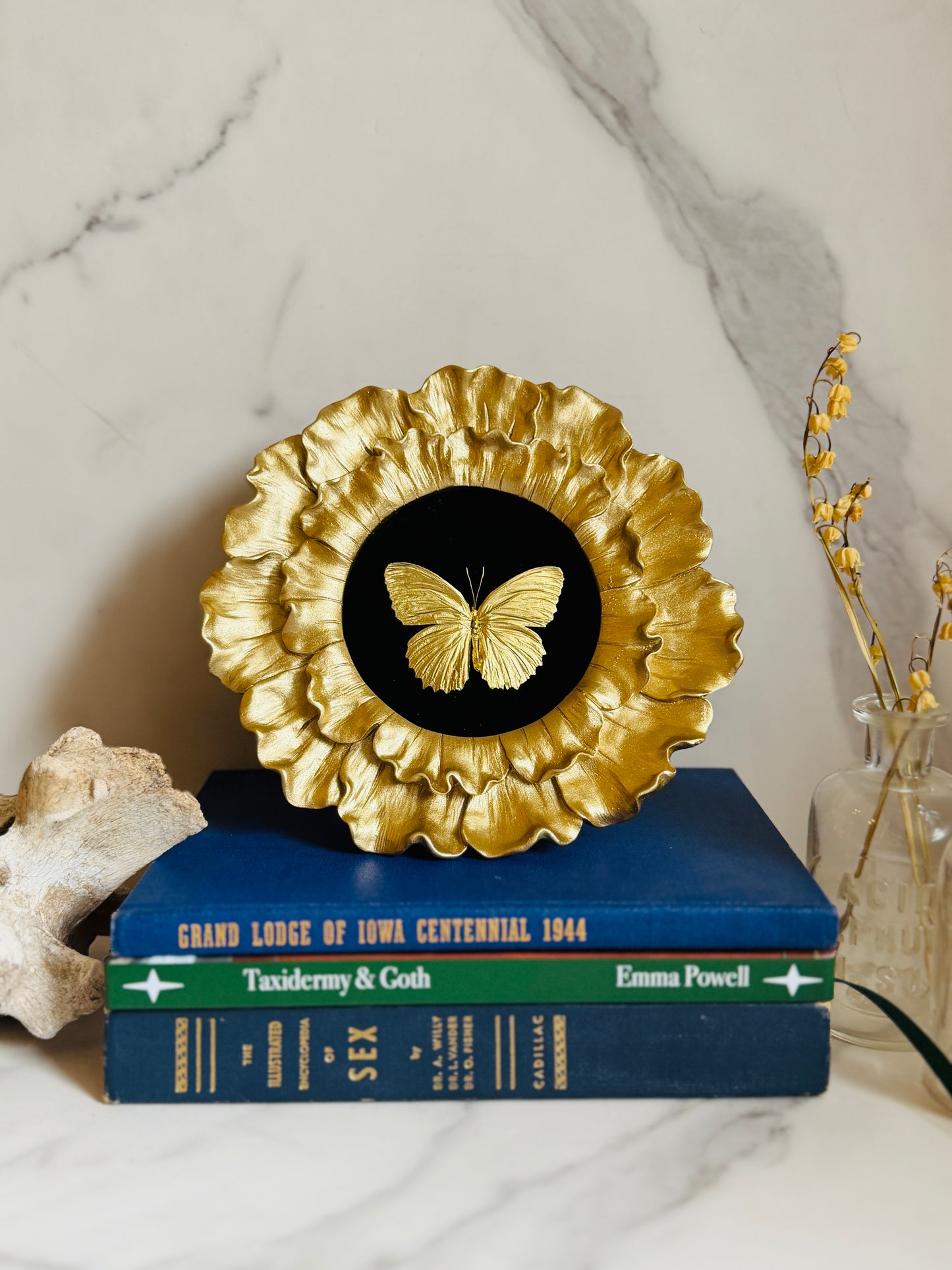 Aureate - Real Butterfly Art; Real Gold Gilded Butterfly