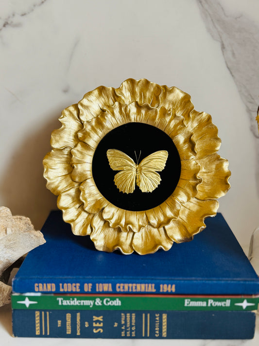 Aureate - Real Butterfly Art; Real Gold Gilded Butterfly