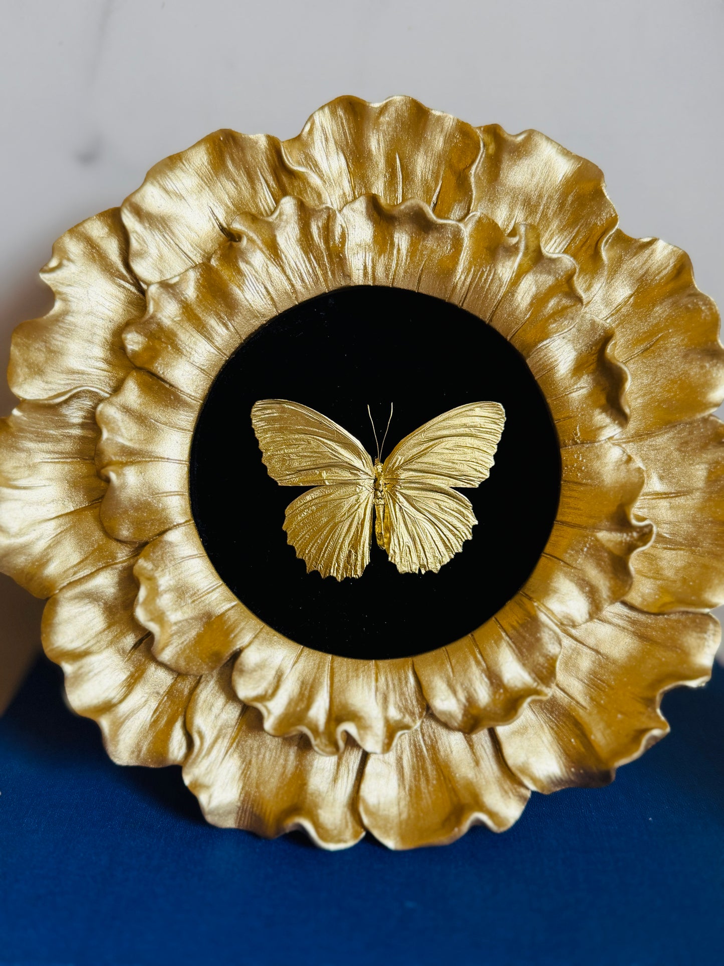 Aureate - Real Butterfly Art; Real Gold Gilded Butterfly