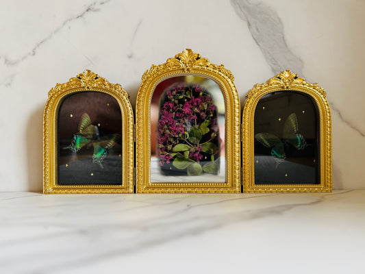 Apotheosis - Real Butterfly Art; Real Dried Flowers; Mirror