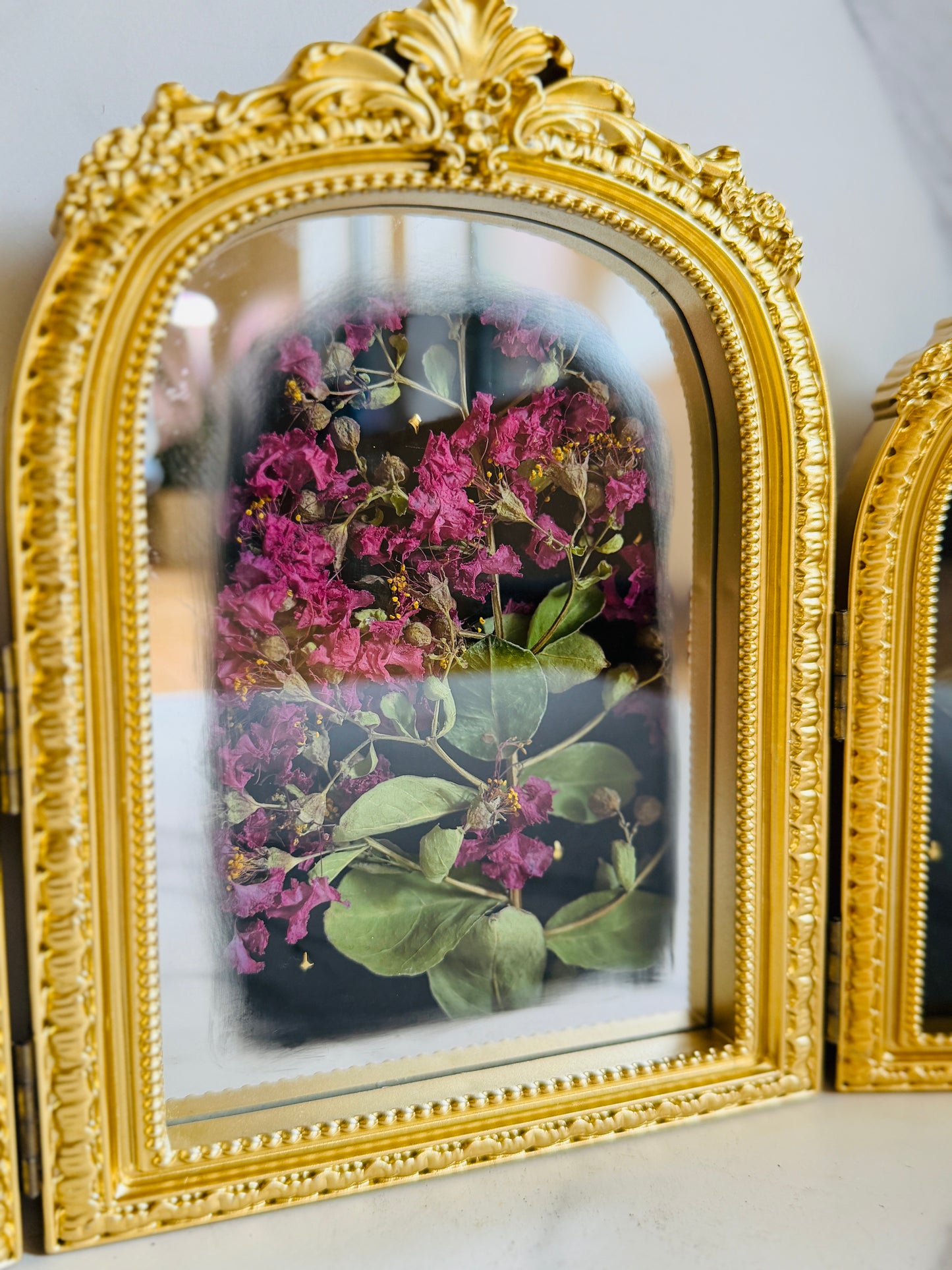 Apotheosis - Real Butterfly Art; Real Dried Flowers; Mirror