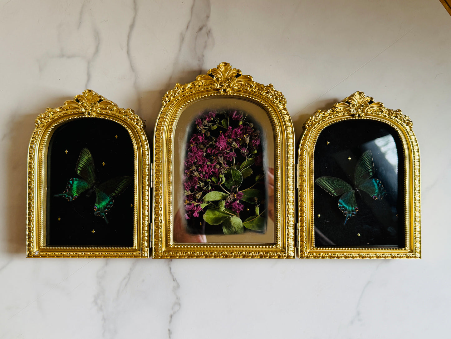 Apotheosis - Real Butterfly Art; Real Dried Flowers; Mirror