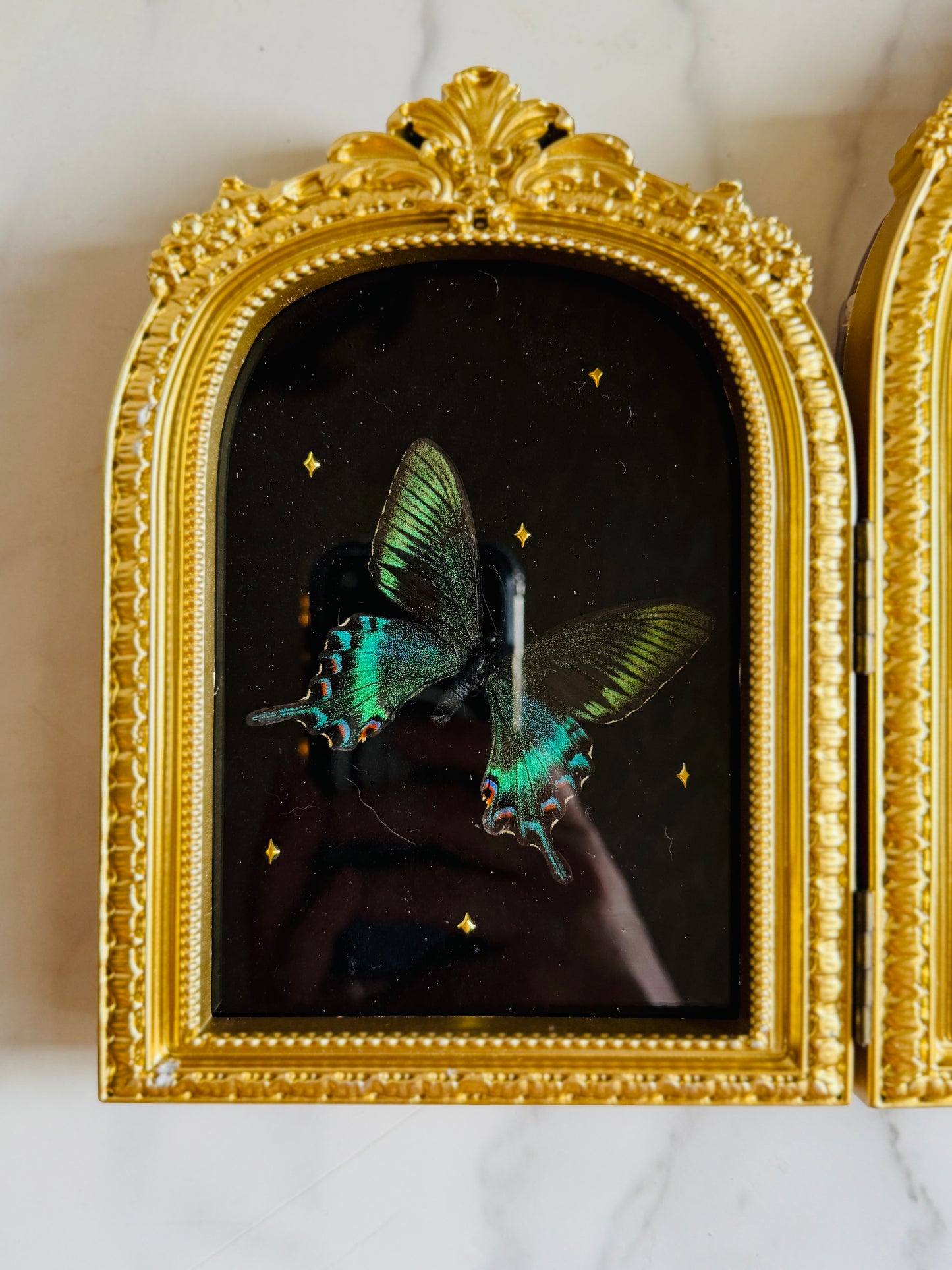 Apotheosis - Real Butterfly Art; Real Dried Flowers; Mirror