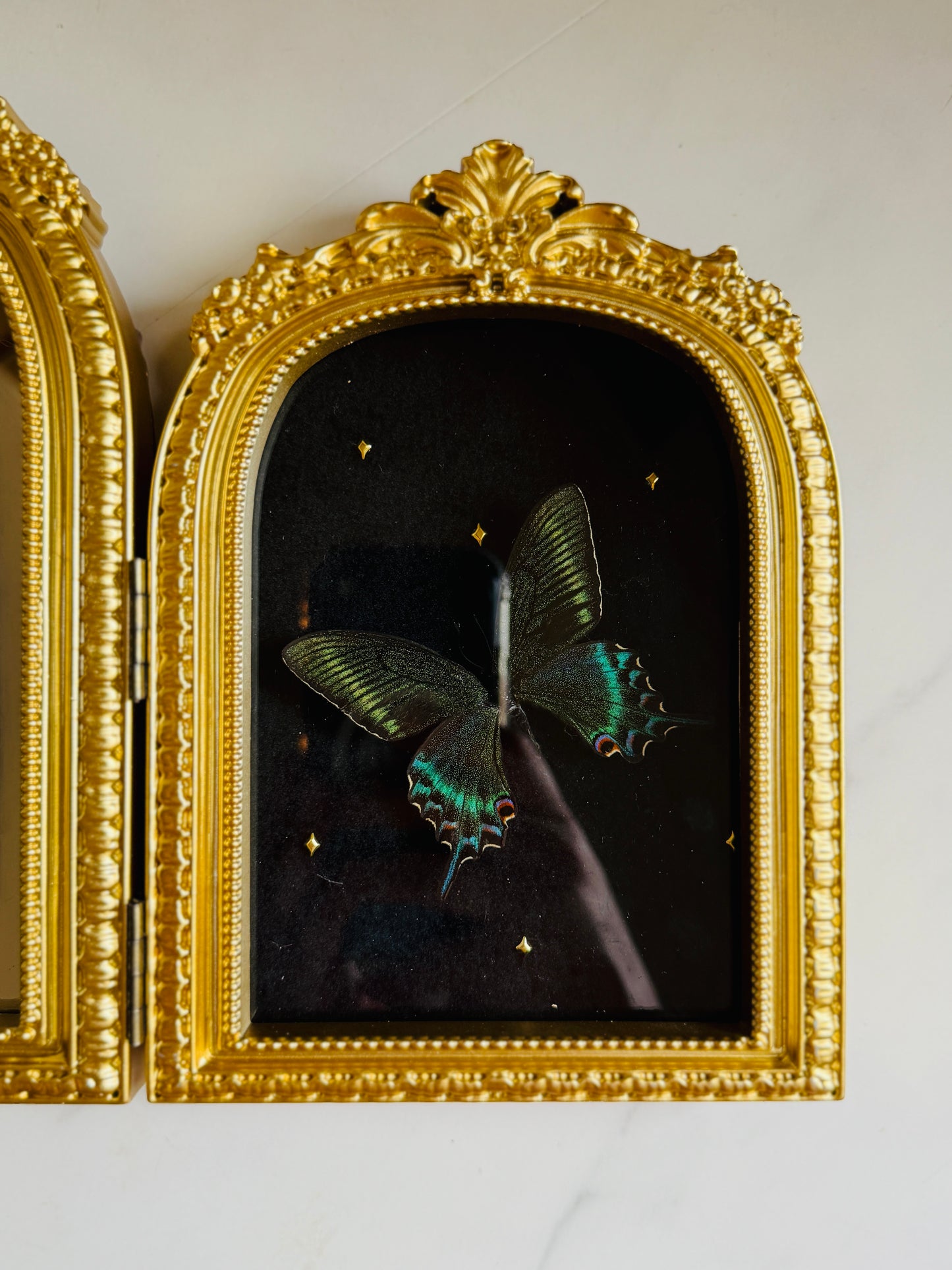 Apotheosis - Real Butterfly Art; Real Dried Flowers; Mirror