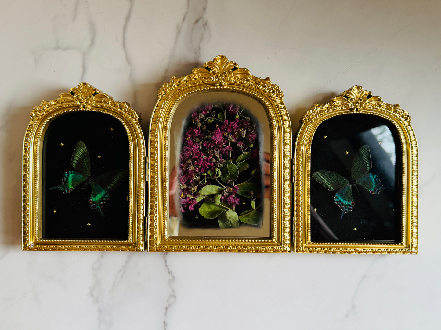 Apotheosis - Real Butterfly Art; Real Dried Flowers; Mirror