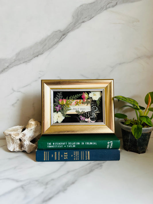 Real Insect Art; Real Antique Calling Card; Real Butterfly