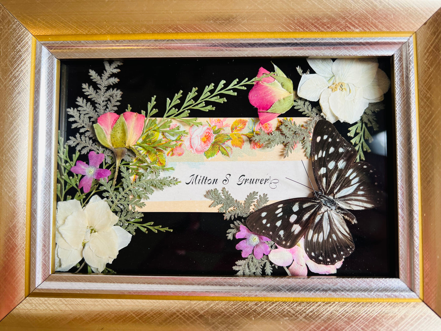 Real Insect Art; Real Antique Calling Card; Real Butterfly