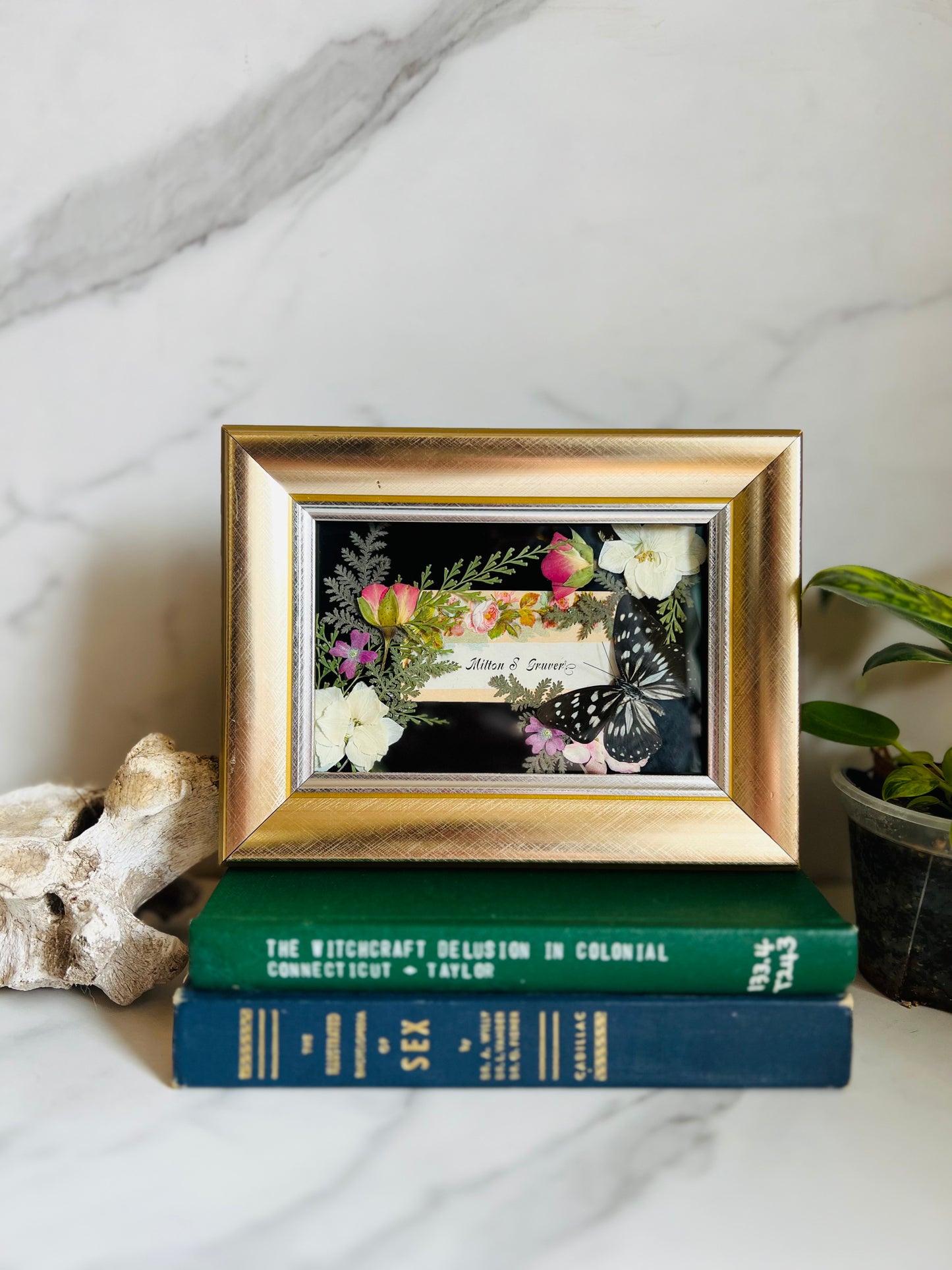 Real Insect Art; Real Antique Calling Card; Real Butterfly