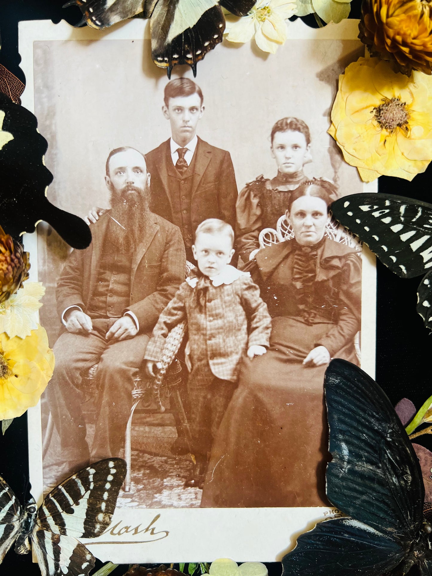Real Insect Art; Real Butterflies; Real Antique Cabinet Card