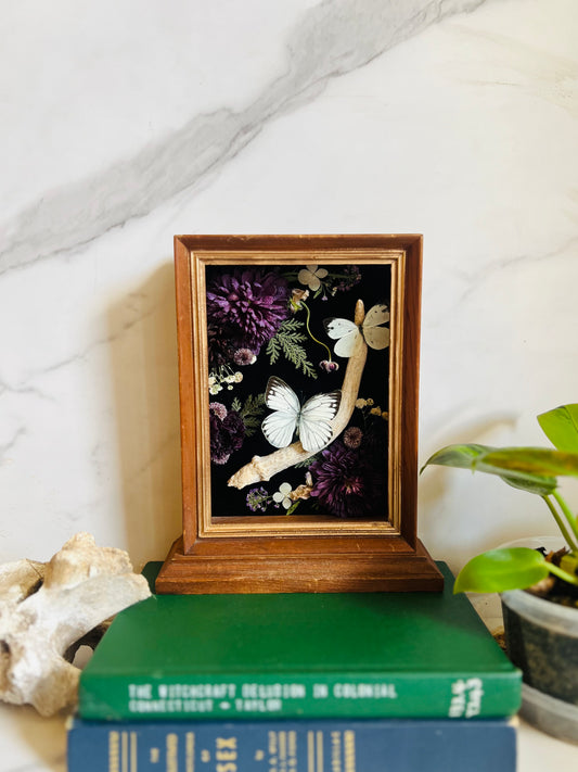 Real Insect Art; Real Antler; Antique Wood Frame