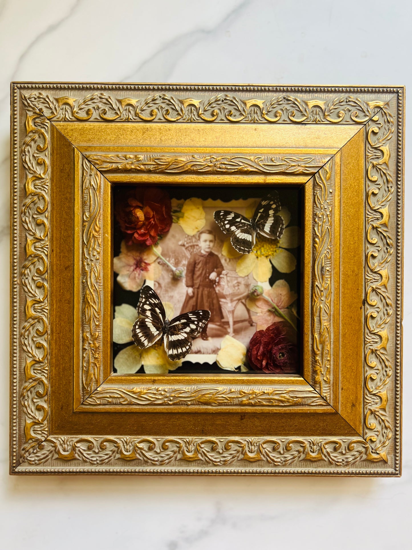 Real Insect Art; Real Antique Cabinet Card; Antique Ornate Frame