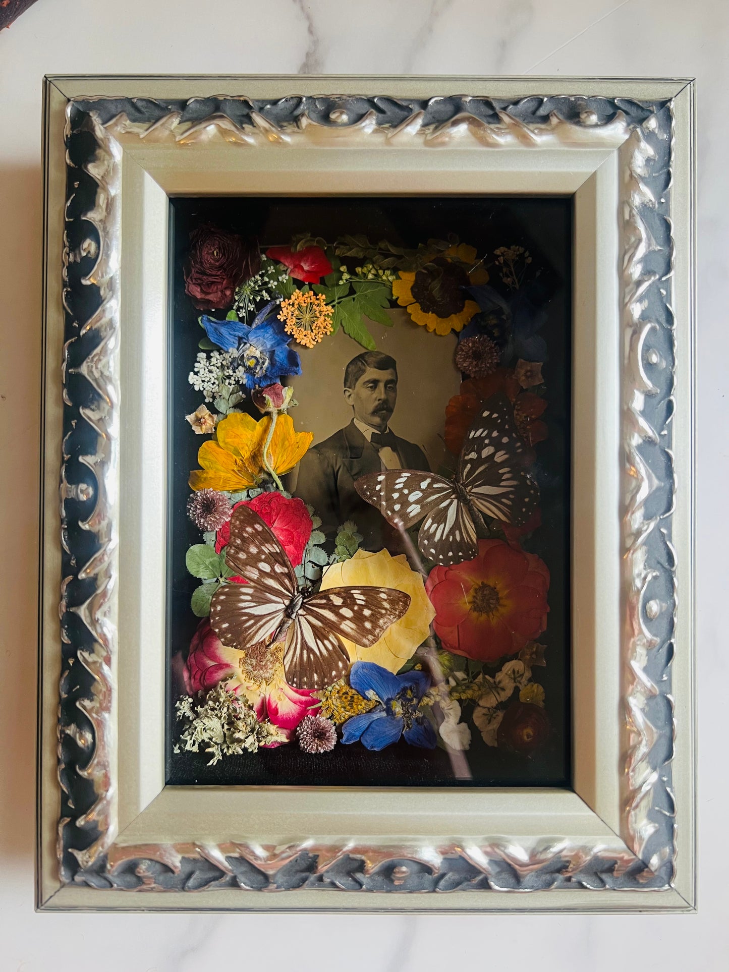 Real Insect Art; Real Antique Tintype; Real Butterfly