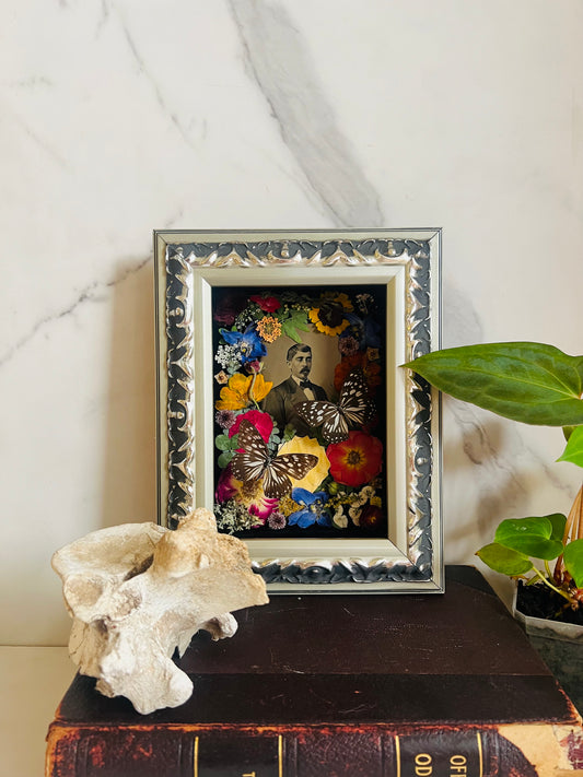 Real Insect Art; Real Antique Tintype; Real Butterfly