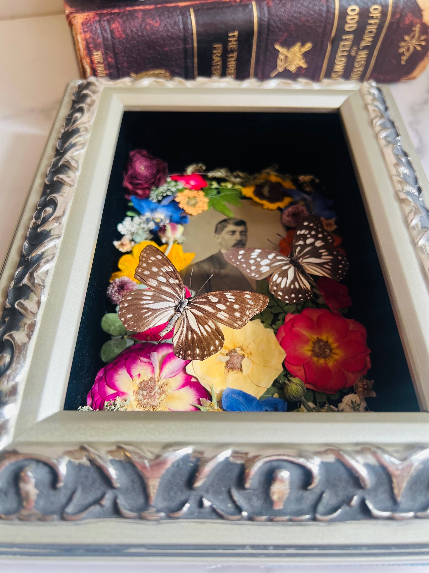 Real Insect Art; Real Antique Tintype; Real Butterfly