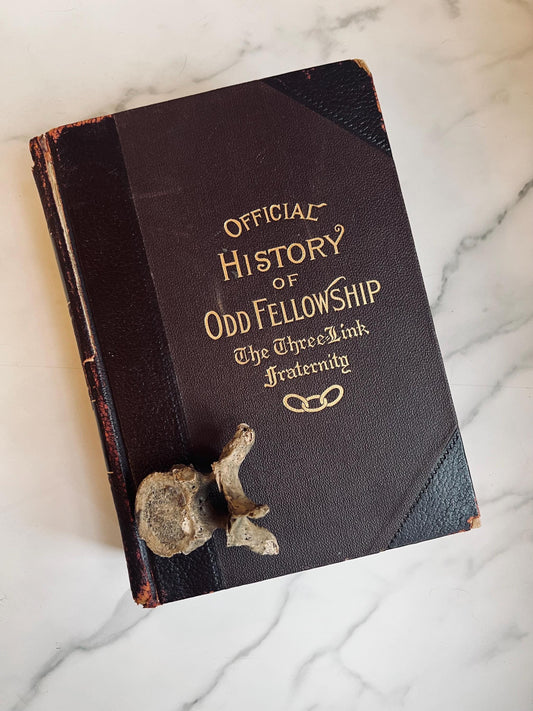 1904 Official History of Odd Fellowship the Three-Link Fraternity
