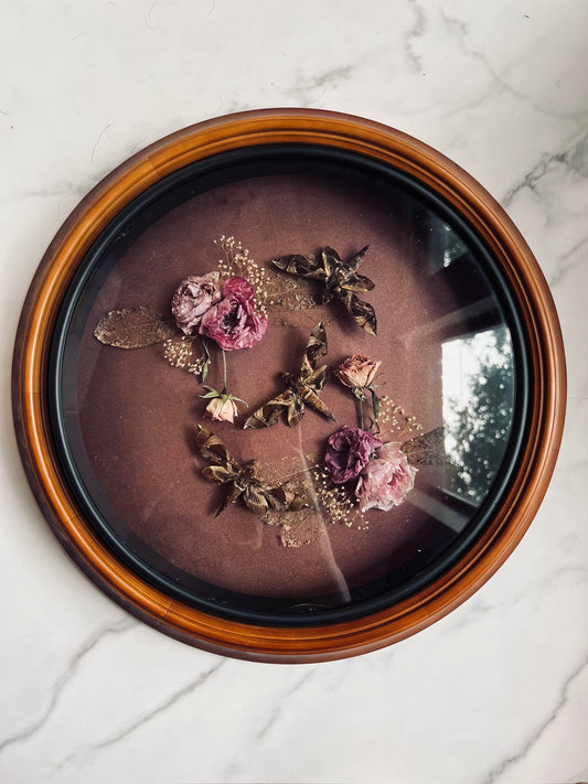 Real Insect Art; Real Moth; Antique Vintage Frame