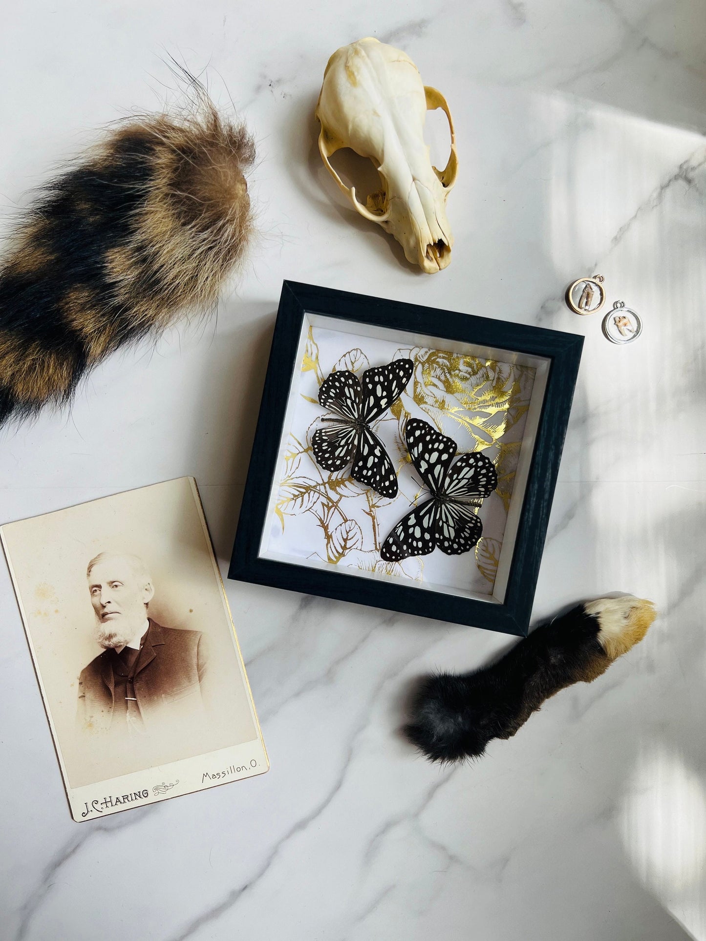 Small Mystery Box; Oddities Mystery Box; Curiosities Mystery Box; Nature Mystery Box