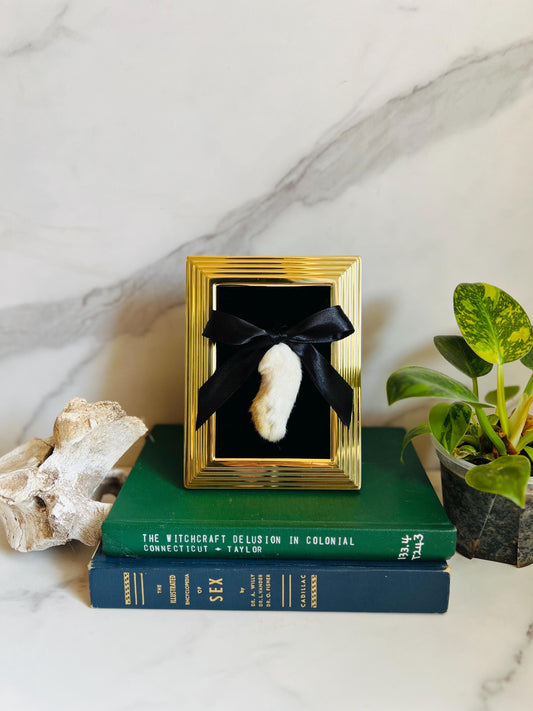Real Taxidermy Art; Real Rabbit Foot; Antique Ornate Frame