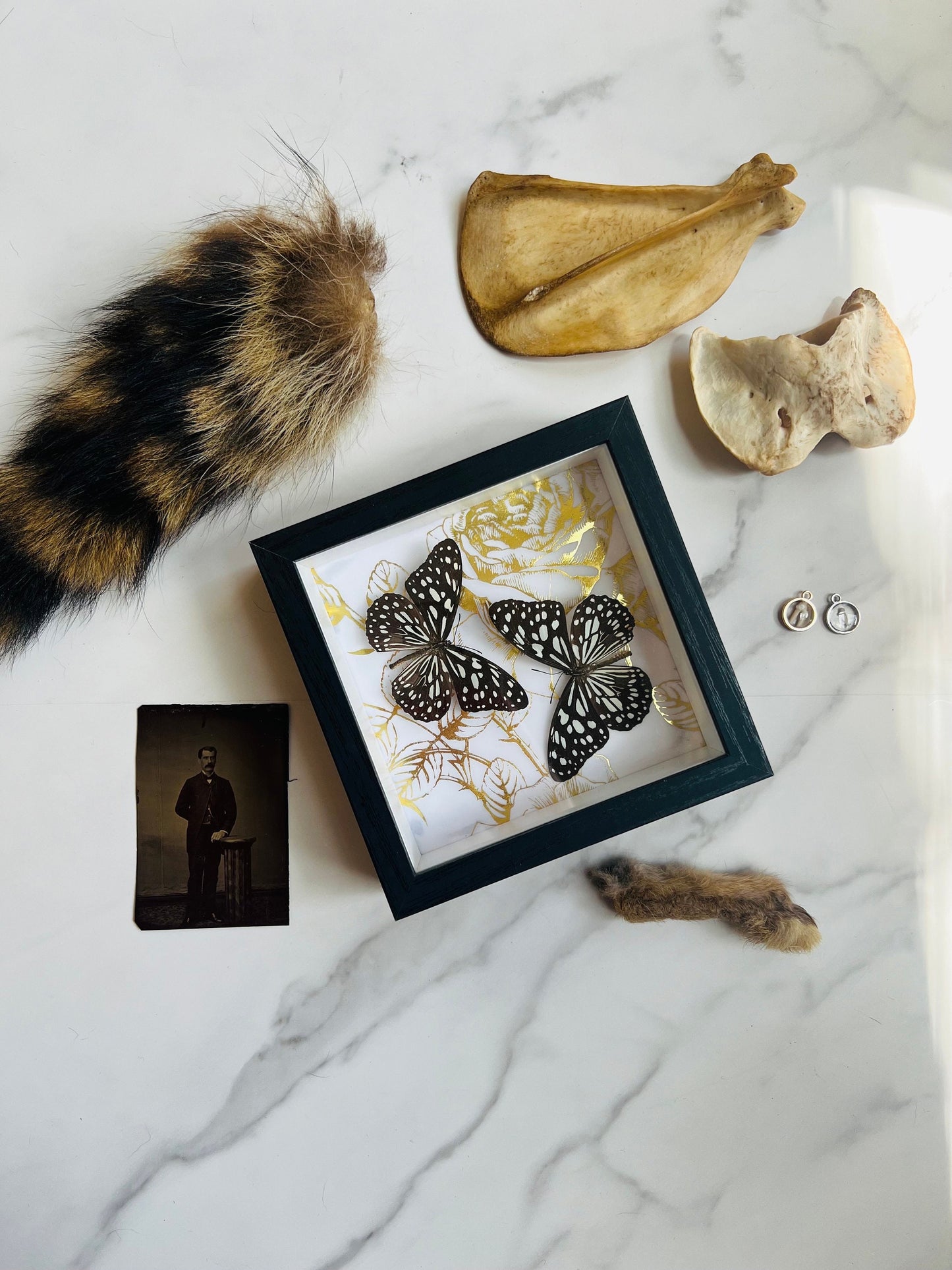 Small Mystery Box; Oddities Mystery Box; Curiosities Mystery Box; Nature Mystery Box