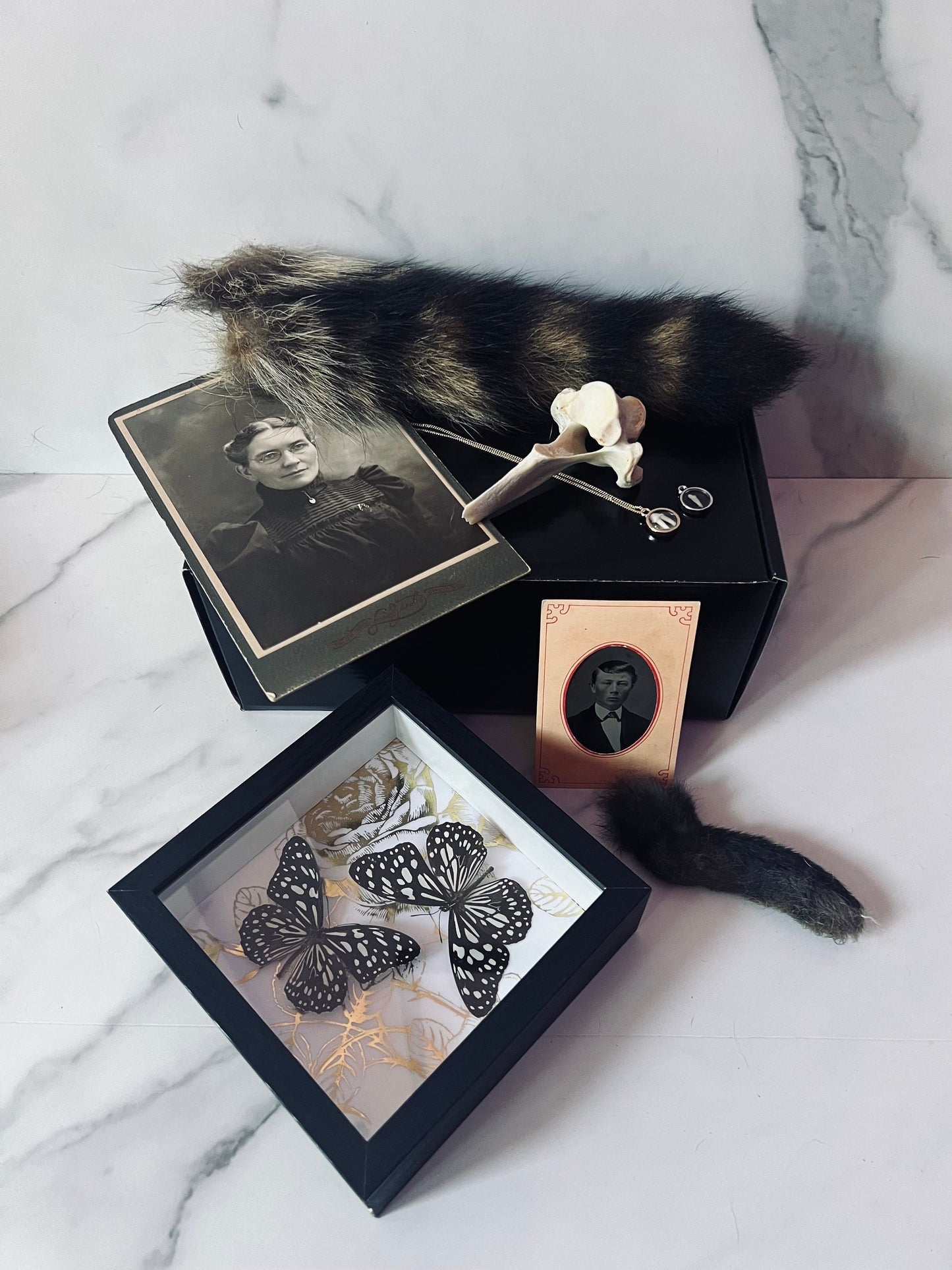 Small Mystery Box; Oddities Mystery Box; Curiosities Mystery Box; Nature Mystery Box