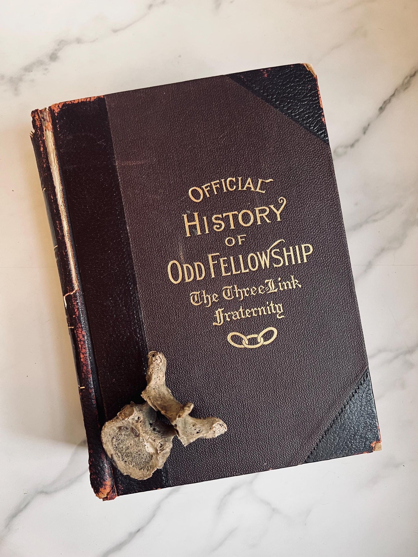 1904 Official History of Odd Fellowship the Three-Link Fraternity