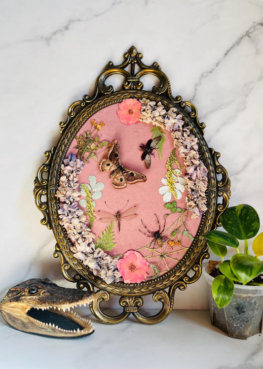 Real Insect Art; Antique Ornate Bubble Convex Frame